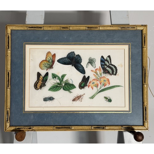 Lot 245       