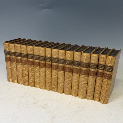 Lot 269       