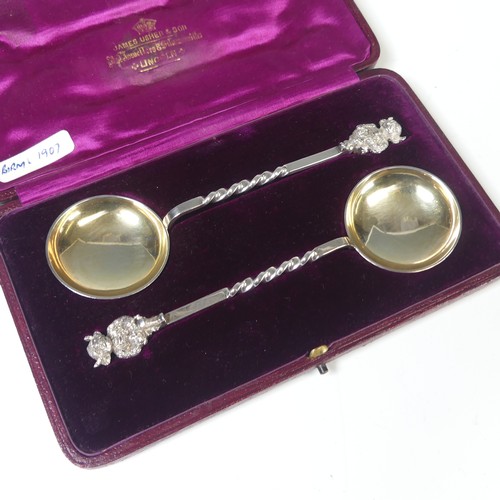 37 - A cased pair of commemorative Edwardian silver Spoons, by James Usher & Son, hallmarked Birmingh... 