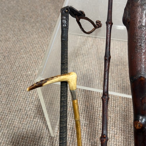 37 - A collection of interesting walking Sticks and riding Crops, 19th century and later, some with silve... 