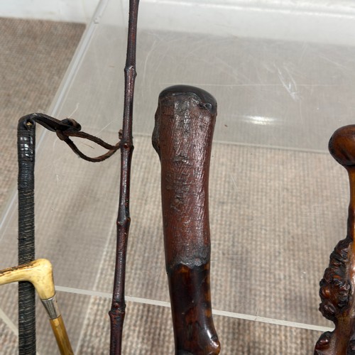 37 - A collection of interesting walking Sticks and riding Crops, 19th century and later, some with silve... 