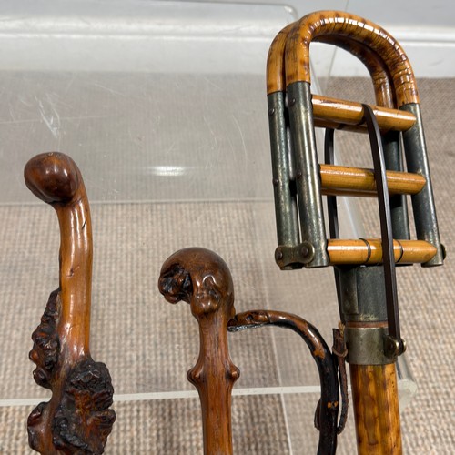 37 - A collection of interesting walking Sticks and riding Crops, 19th century and later, some with silve... 