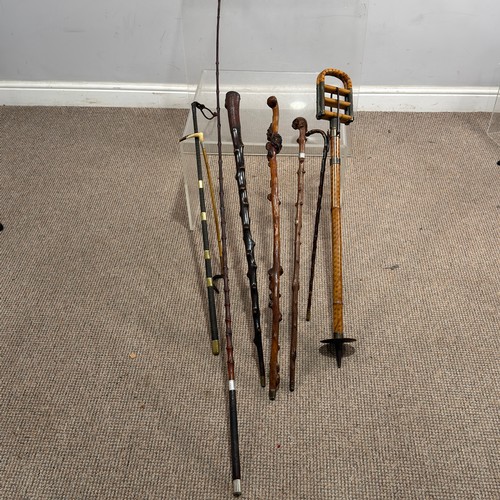 37 - A collection of interesting walking Sticks and riding Crops, 19th century and later, some with silve... 