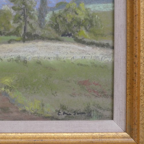 54 - C. Ann Smith (Contemporary), church-yard scene, pencil and crayon, signed lower right, 23.5 x 33.5cm... 