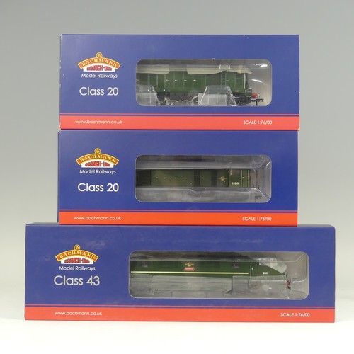 Lot 41        