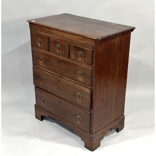 Lot 54        