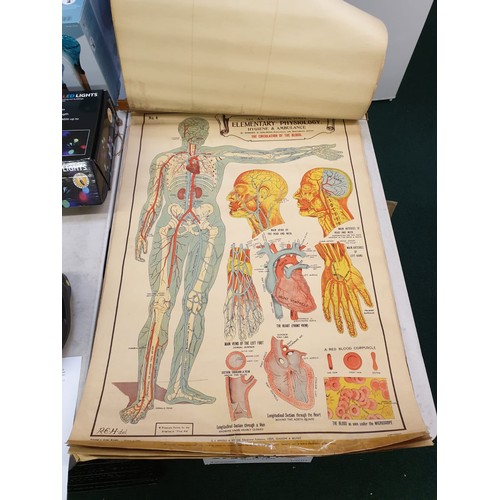 194 - A SET OF EIGHT A.L. EDUCATION SERIES ELEMENTARY PHYSIOLOGY HYGIENE AND AMBULANCE CHARTS BY ROBERT E.... 