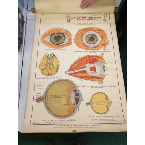 194 - A SET OF EIGHT A.L. EDUCATION SERIES ELEMENTARY PHYSIOLOGY HYGIENE AND AMBULANCE CHARTS BY ROBERT E.... 