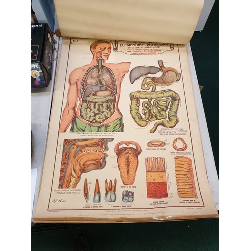 194 - A SET OF EIGHT A.L. EDUCATION SERIES ELEMENTARY PHYSIOLOGY HYGIENE AND AMBULANCE CHARTS BY ROBERT E.... 