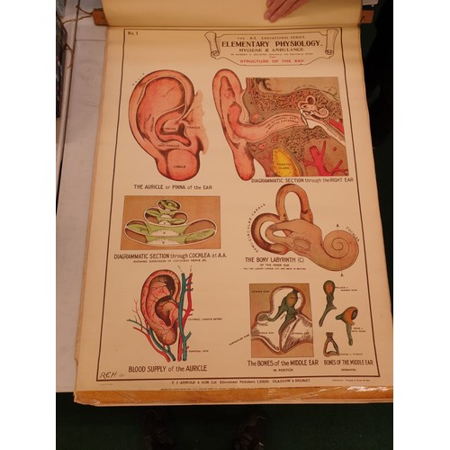 194 - A SET OF EIGHT A.L. EDUCATION SERIES ELEMENTARY PHYSIOLOGY HYGIENE AND AMBULANCE CHARTS BY ROBERT E.... 