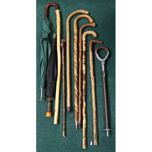 42 - 6 X DECORATIVE CARVED WALKING STICKS 1 WICKER TOPPED/2 X UMBRELLAS/1 X SHOOTING STICK (Howell Of Lon... 