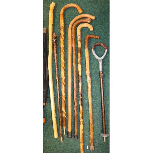 42 - 6 X DECORATIVE CARVED WALKING STICKS 1 WICKER TOPPED/2 X UMBRELLAS/1 X SHOOTING STICK (Howell Of Lon... 