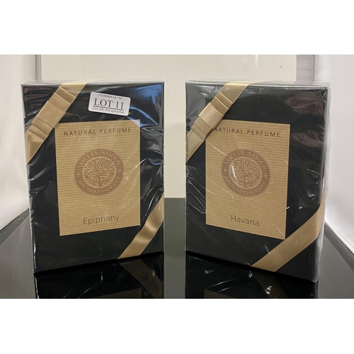 Lot 11        