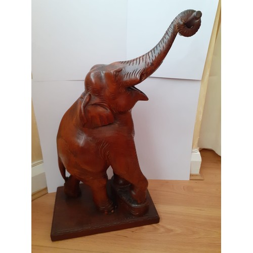 213 - Large well carved early 20c hardwood elephant, 59cm (height) – 33cm (width) at the base.