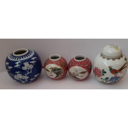 227 - Four porcelain Chinese ginger jars (4)