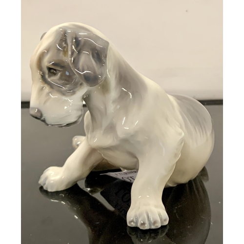 258 - DAHL JENSEN (DJ) 1008A - WIRE HAIRED TERRIER PUPPY - 12L X 8H CMS