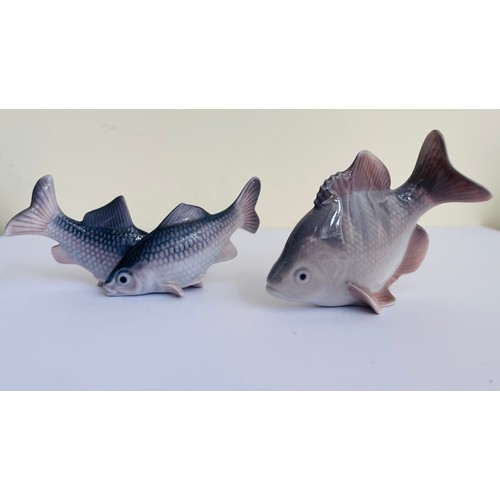 306 - ROYAL COPENHAGEN 2 FISH FIGURES - AMERICAN PERCH 2553 FRANCIS VALDEMAR PLATEN-HALLERMUNDT 6HX8L CMS ... 