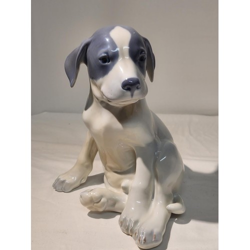 266 - Large SITTING POINTER PUPPY DOG by Erik Nielsen for ROYAL COPENHAGEN 259 20CM HIGH