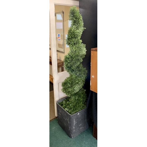 218 - 6FT CEDER SPIRAL TOPIARY (SMALL CRACK TO ONE SIDE)