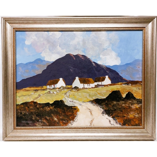 74 - R. Dunleavey Oil on Board Whitewashed cottages against purple mountains signed lower left Frame size... 