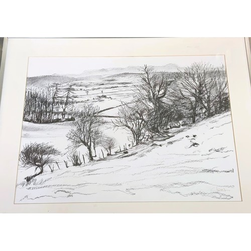 203 - A FRAMED PENCIL ON WATERCOLOUR PAPER DRAWING OF A WINTER LANDSCAPE SIGNED BOTTOM RIGHT ‘CLEM’ -TO RE... 