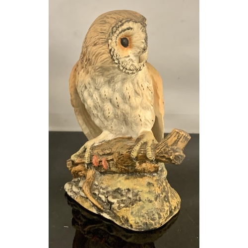 366 - ROYAL DOULTON BIRD COLLECTION FIGURINE: BARN OWL - DA137 AMANDA J HUGHES -H: 6.5