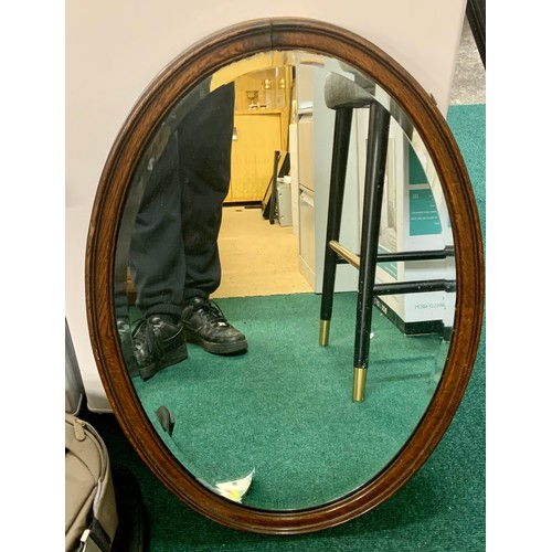 255 - OVAL MIRROR