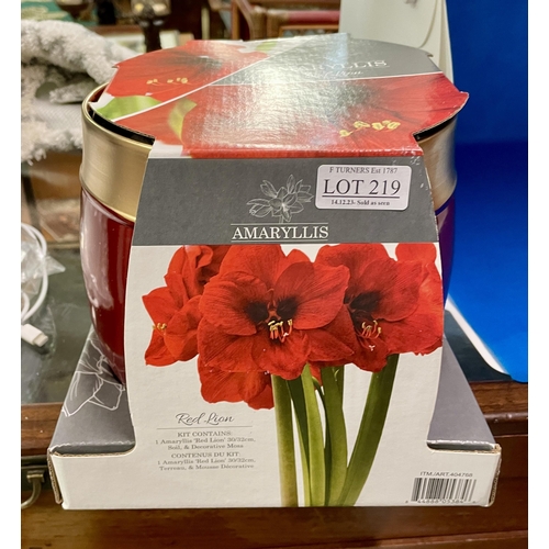 219 - BOXED AMARYLLIS RED LION IN DECORATIVE PLANTER