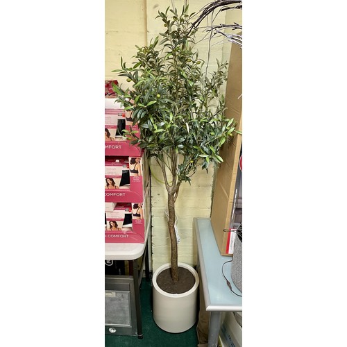 198 - CGH 198CM LIFELIKE OLIVE TREE IN POT (NOTE POT HAS HAIRLINE CRACK)