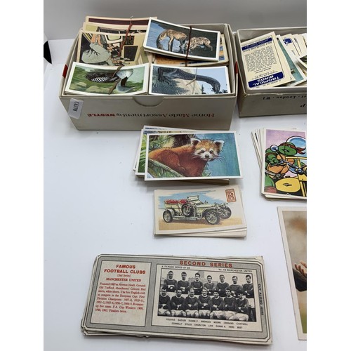 317A - QTY OF VARIOUS CIGARETTE CARDS, INCL, TEENAGE MUTANT NINJA TURTLE, INTERNATIONAL SOCCER STARS 'GABRI... 