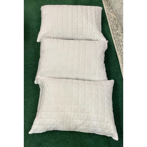 79 - SET OF 3 BLUE RIDGE HOME FASHIONS MEMORY FOAM DEEP FILL PILLOWS WITH WASHABLE DETACHABLE COVERS - LO... 