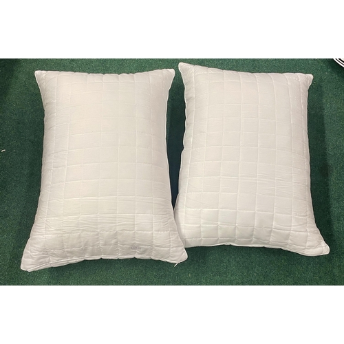 53 - PAIR OF LOOSE PACK OVERSIZE QUILTED PILLOWS