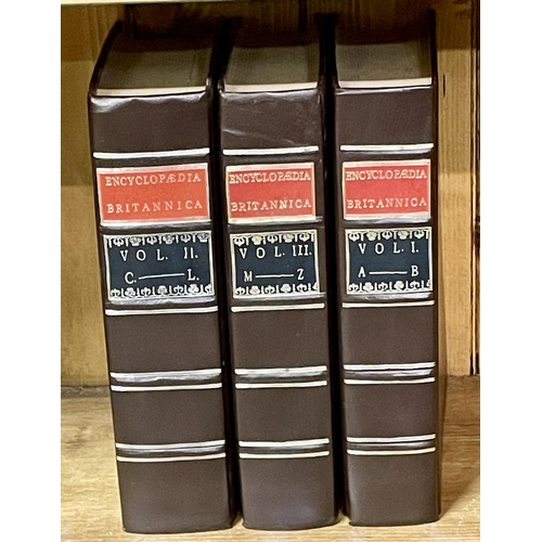 Lot 251       