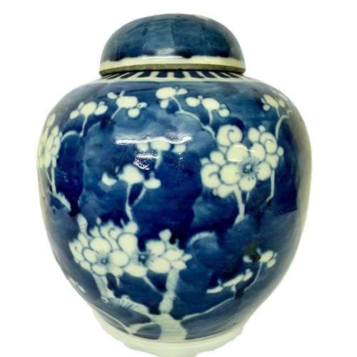 406 - CHINESE PRUNUS JAR: CHINESE BLUE & WHITE PRUNUS JAR WITH COVER C.1900 - H:18.5CMS OVERALL