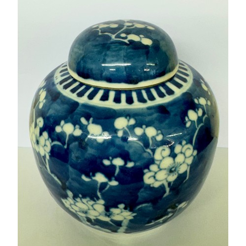 406 - CHINESE PRUNUS JAR: CHINESE BLUE & WHITE PRUNUS JAR WITH COVER C.1900 - H:18.5CMS OVERALL