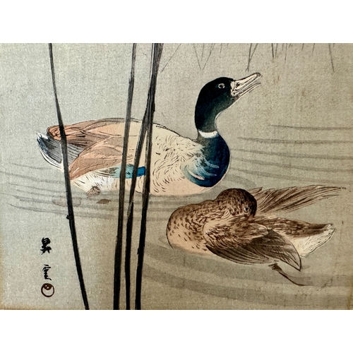 300 - AN ORIGINAL JAPANESE WOODBLOCK PRINT BY YAMAMOTO SHOUN.  MALLARD DUCKS AND REEDS  C. 1930'S 34.5CM X... 