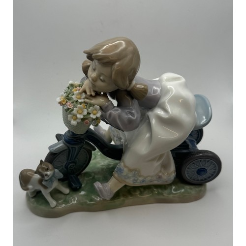 306 - IN NO HURRY 5679 LLADRO