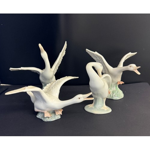 428 - DUCK JUMPING 1265 LLADRO,
DUCK RUNNING 1263 LLADRO,
FLYING DUCK 1264 LLADRO,
LITTLE DUCK 4553 LLADRO