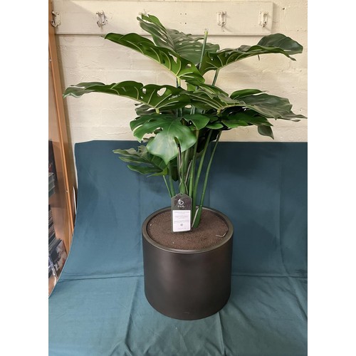 221 - CGH FAUX MONSTERA TREE IN POT - APPROX 1.2M