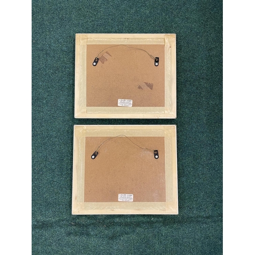 362 - X2 FRAMED EDINBURGH INTEREST WATERCOLOURS, ONE MARKED 'ROYAL HIGH SCHOOL CALTON HILL'AND SIGNED TO B... 