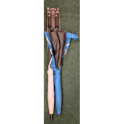 Lot 149       