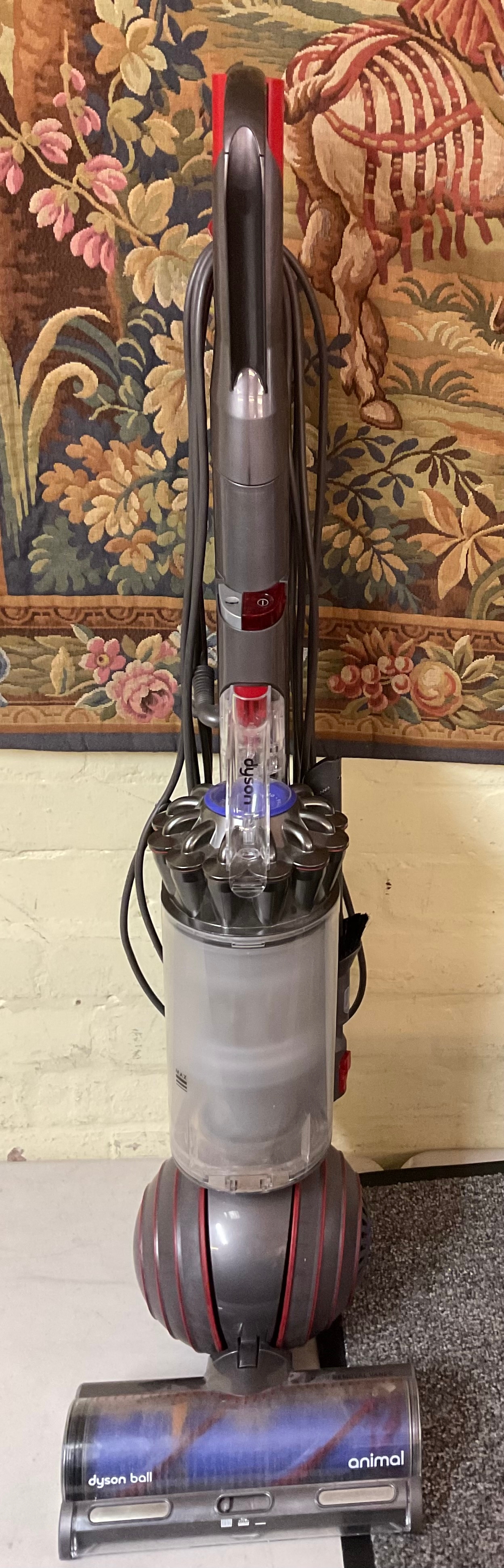 DYSON ANIMAL BALL UPRIGHT VACUUM CLEANER - NOTE MISSING RED FILTER CAP ...