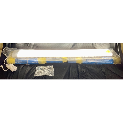 Lot 242       