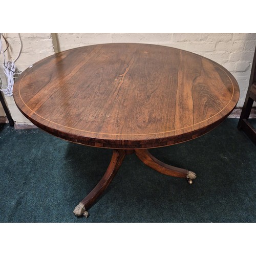 Lot 288       