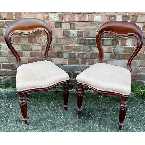 320 - A PAIR OF VICTORIAN MAHOGANY BALLOON BACK DINING CHAIRS WITH TURNED LEGS AND CURVED BACK