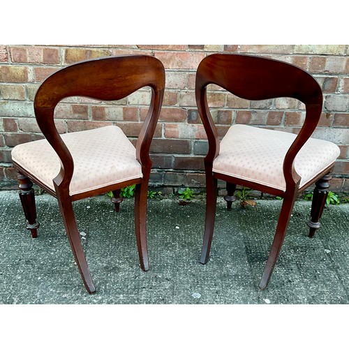 320 - A PAIR OF VICTORIAN MAHOGANY BALLOON BACK DINING CHAIRS WITH TURNED LEGS AND CURVED BACK