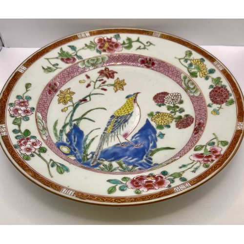 352 - A CHINESE PLATE: A YONGZHENG PERIOD (1722-1735) FAMILLE ROSE 'PEACOCK' PATTERN PLATE - DIA: 22CMS - ... 