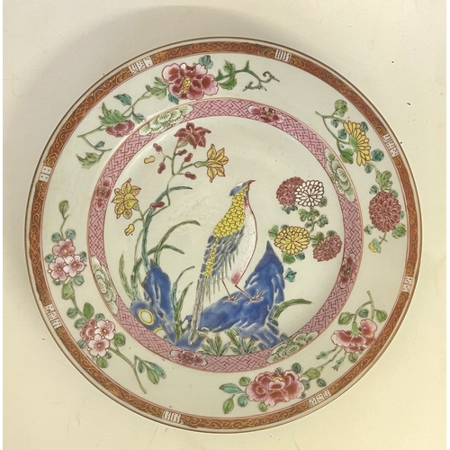 352 - A CHINESE PLATE: A YONGZHENG PERIOD (1722-1735) FAMILLE ROSE 'PEACOCK' PATTERN PLATE - DIA: 22CMS - ... 