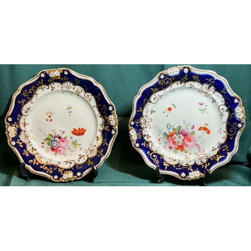 441 - A PAIR OF ANTIQUE COALPORT PORCELAIN PLATES HAND PAINTED FLORAL MOTIF IN GILT AND COALPORT BLUE DECO... 