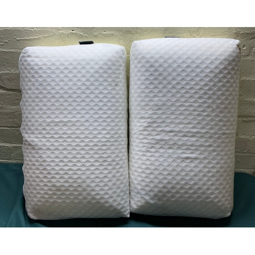 47 - SNUGGLEDOWN BLISS BAMBOO TOUCH MEMORY FOAM PILLOW WITH REMOVABLE WASHABLE COVERS